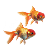 AI generated Goldfish isolated on transparent background png