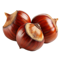AI generated Chestnut isolated on transparent background png