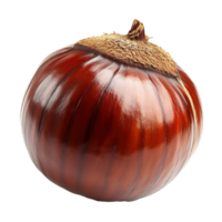 AI generated Chestnut isolated on transparent background png