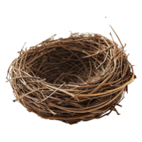 AI generated Bird nest isolated on transparent background png