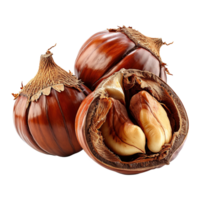 AI generated Chestnut isolated on transparent background png