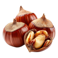 AI generated Chestnut isolated on transparent background png