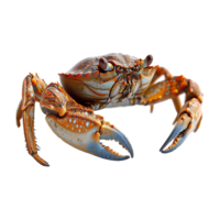 ai généré Crabe isolé sur transparent Contexte png