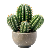 ai generado cactus en maceta aislado en transparente antecedentes png