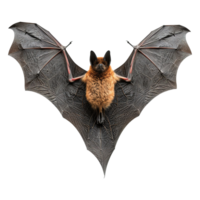 ai generado volador murciélago aislado en transparente antecedentes png