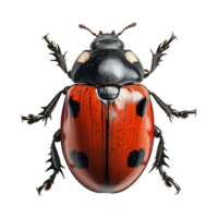 AI generated Bug isolated on transparent background png