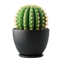 AI generated Cactus in pot isolated on transparent background png