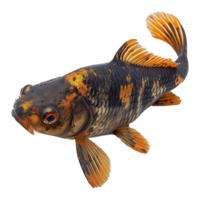 ai généré Poisson-chat isolé sur transparent Contexte png