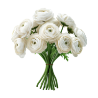 AI generated Beautiful wedding bouquet of white roses isolated on transparent background png