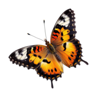 ai generado vistoso mariposa aislado en transparente antecedentes png