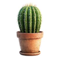 AI generated Cactus in pot isolated on transparent background png