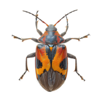 AI generated Bug isolated on transparent background png