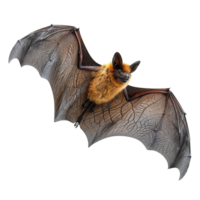 ai généré en volant chauve souris isolé sur transparent Contexte png