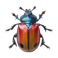 AI generated Beetle isolated on transparent background png