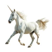 ai generado blanco unicornio aislado en transparente antecedentes png