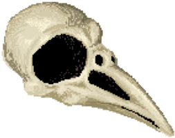 Bones and skulls png