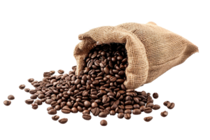 AI generated coffee beans in the sack isolated on transparent background png