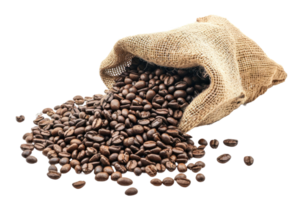 AI generated coffee beans in the sack isolated on transparent background png