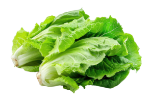 ai generado Fresco lechuga hojas en transparente antecedentes png