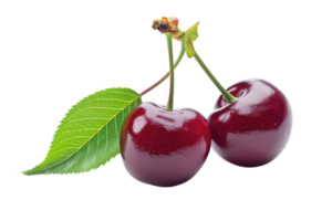 AI generated Cherry with stem and leaves isolated on transparent background png