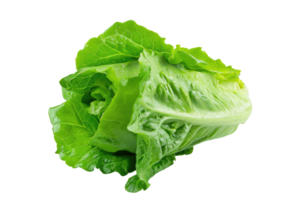 ai generado Fresco lechuga hojas en transparente antecedentes png