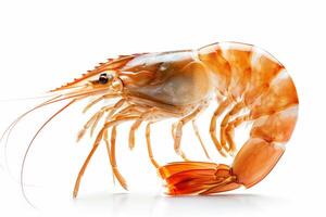 AI generated Fresh boiled shrimp seafood on white background. photo