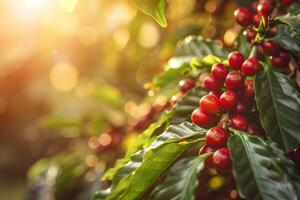 AI generated Coffee beans branch ripening in agriculture farm. photo