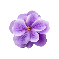 ai généré africain violet fleur isolé sur transparent Contexte png