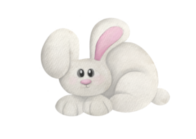 cute Watercolor rabbit with big fluffy ears sitting. Woodland Wildlife furry forest animal. funny illustration for kids. clipart and cut out element isolated on transparent background png