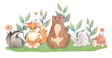 Watercolor Illustration Woodland baby Animals. forest Illustration collection on transparent background png