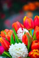 Colorful Tulips and White Carnations Bouquet photo