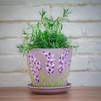 Potted Plant on Wooden Table photo