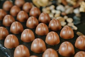 Close Up of Assorted Chocolates on a Tray photo