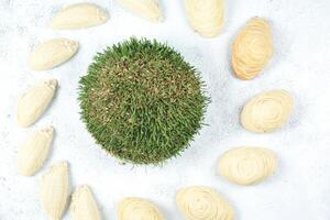 grupo de rosquillas y verde brote en blanco superficie foto