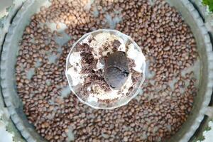 Aerial View of Colorful Bowl of Food photo