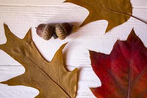 Autumn leaves on a white wooden background. Bright pattern. photo