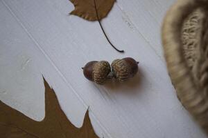 Oak acorns on a wooden desk, close up. photo