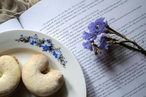 Cake and nuts in a plate against a book background. Close up. photo