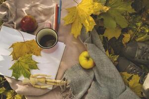 A cup of tea, fallen leaves, album and pencils for drawing on the warm plaid in the autumn park. photo