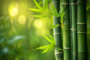 AI generated Sunlight bokeh through a lush bamboo grove highlighting the fresh green leaves and the tall sturdy stalk of the tree natural forest photo