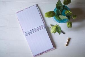 The opened notepad, pen, white candle, glasses and branches of hops as decoration on a white wooden table. Desktop still life with space for text. photo