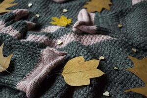 Women's sweater decorated with autumn leaves. Sweater texture. Cold season. photo