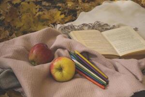 The apples, colored pencils and opened book on a plaid outdoor. Autumn still life. photo