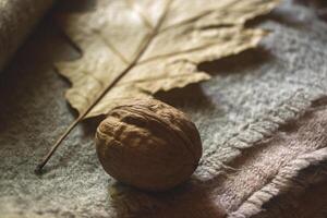 Warm scarves, yellow leaves and walnuts. Autumn background. photo