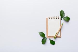 eco-friendly Empty notebook with pen and green leaf on Colored background for note photo