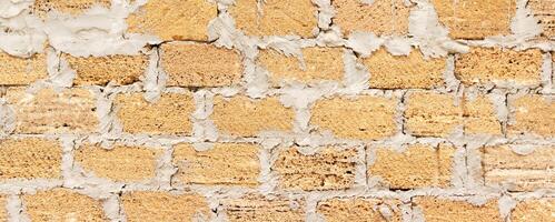 brick from shells Texture background , wall is made of shells brick. photo