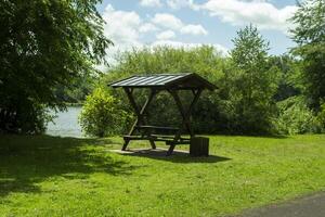 Summer arbor on the green meadow near lake. photo