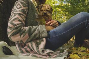 Woman with dog resting in the autumn park. photo