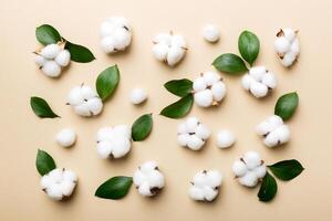 Autumn Floral Flat lay background composition. Dried white fluffy cotton flower branchwith green leaf top view on colored table with copy space photo