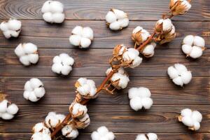 Autumn Floral Flat lay background composition. Dried white fluffy cotton flower branch top view on colored table with copy space photo